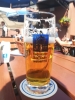2019 - Heller Bock in der Augustiner Brauerei